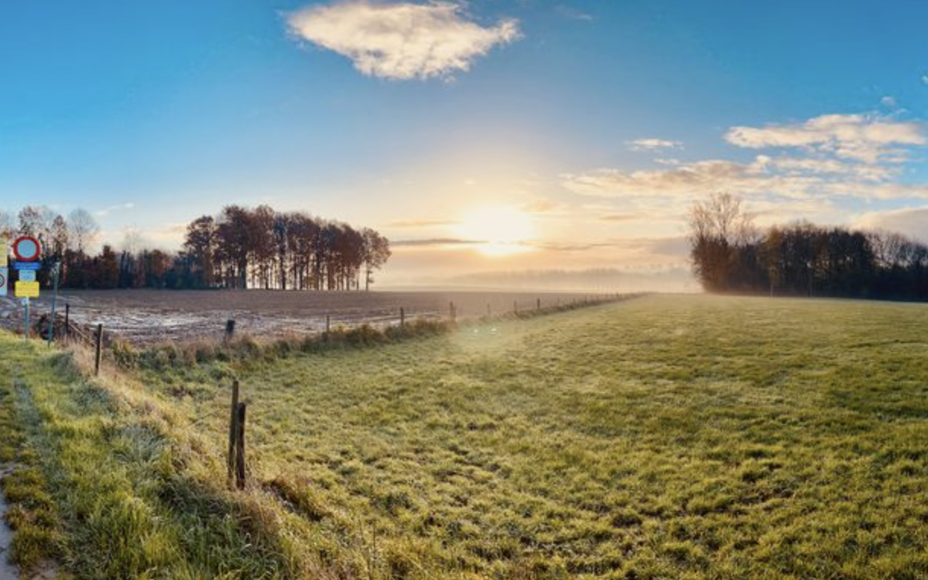 Prachtige villagrond voor open bebouwing met een oppervlakte van 10a88ca op een unieke en uitzonderlijk rustig gelegen locatie te Brussegem

Deze grond biedt u de mogelijkheid tot het bouwen van een ruime villa en bevindt zich op enkele stappen van de bef