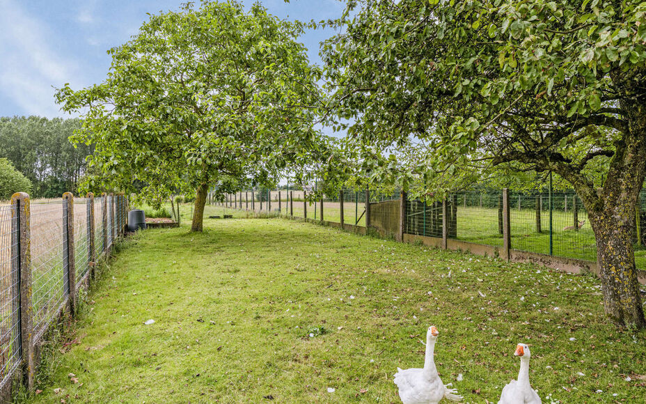 ** IN OPTIE ** LEEMANS IMMOBILIËN biedt u deze charmante woning aan in het landelijke Krokegem (Asse), de ideale gezins- en/of starterswoning! Het betreft een driegevelwoning gelegen in een rustige residentiële straat, doch in de onmiddellijke nabijheid