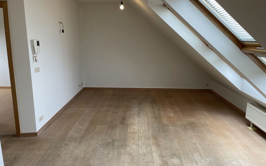 Leemans immobiliën biedt u dit prachtig dakappartement aan in het centrum van Asse.Door zijn topligging zijn alle faciliteiten zoals winkels, scholen , ziekenhuis, park, openbaar vervoer en sportinfrastructuur op wandelafstand. Het appartement is instapk