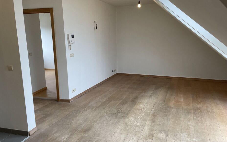 Leemans immobiliën biedt u dit prachtig dakappartement aan in het centrum van Asse.Door zijn topligging zijn alle faciliteiten zoals winkels, scholen , ziekenhuis, park, openbaar vervoer en sportinfrastructuur op wandelafstand. Het appartement is instapk