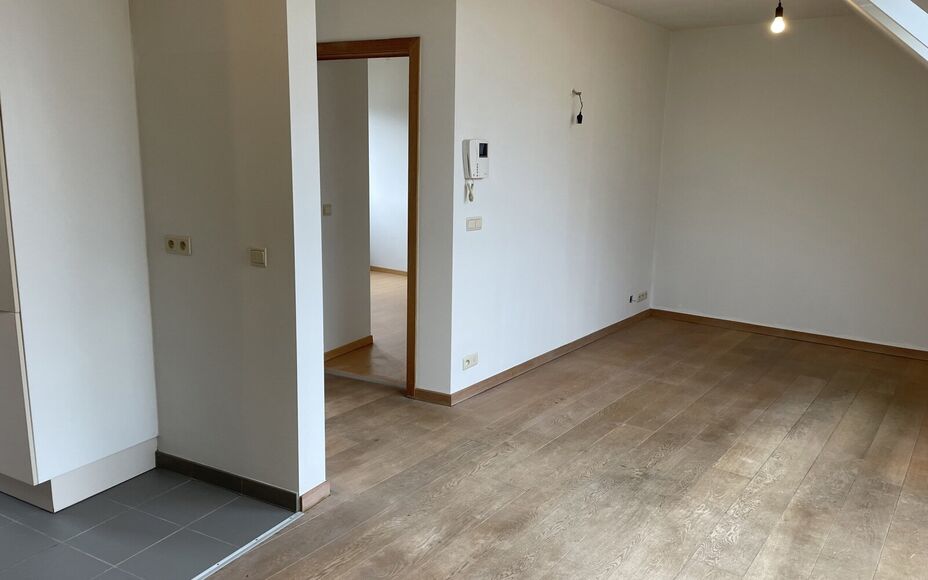 Leemans immobiliën biedt u dit prachtig dakappartement aan in het centrum van Asse.Door zijn topligging zijn alle faciliteiten zoals winkels, scholen , ziekenhuis, park, openbaar vervoer en sportinfrastructuur op wandelafstand. Het appartement is instapk